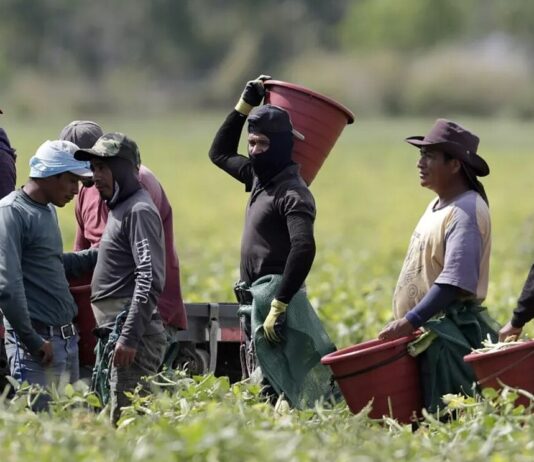capacitación de indocumentados