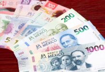 ingresos del Sector Público
