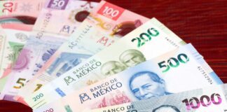 ingresos del Sector Público