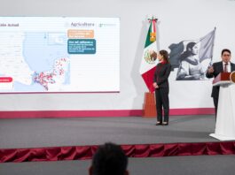 México mantiene bajo control el brote del gusano barrenador del ganado detectado recientemente en Veracruz, informó esta mañana
