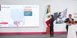México mantiene bajo control el brote del gusano barrenador del ganado detectado recientemente en Veracruz, informó esta mañana