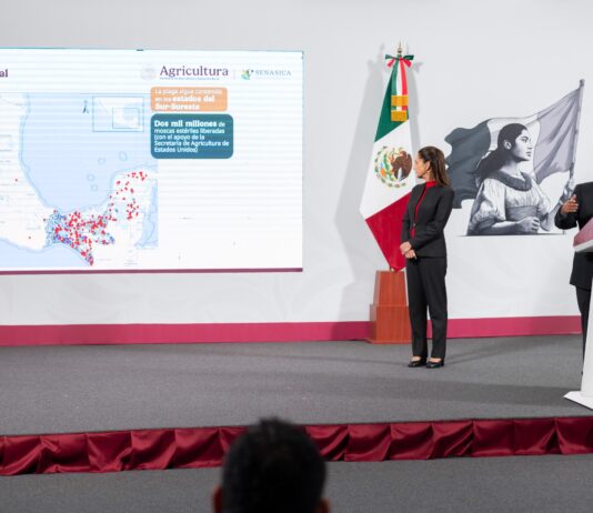 México mantiene bajo control el brote del gusano barrenador del ganado detectado recientemente en Veracruz, informó esta mañana