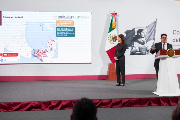 México mantiene bajo control el brote del gusano barrenador del ganado detectado recientemente en Veracruz, informó esta mañana México mantiene bajo control el brote del gusano barrenador del ganado detectado recientemente en Veracruz, informó esta mañana