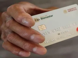 En total, se realizará el pago a 15.9 millones de derechohabientes, con una inversión social histórica de 89 mil 584.6 millones de pesos.