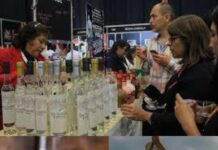 Agave Fest