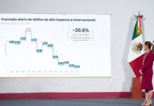Efecto Sheinbaum. Estrategia de seguridad funciona: reduce homicidios 25.3% y destapa extorsiones