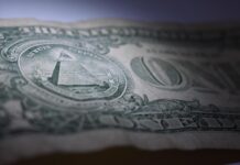 Free One Dollar photo and picture