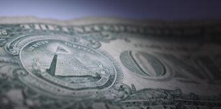 Free One Dollar photo and picture