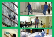 Técnicos y auxiliares