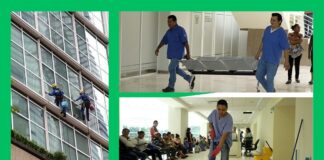 Técnicos y auxiliares