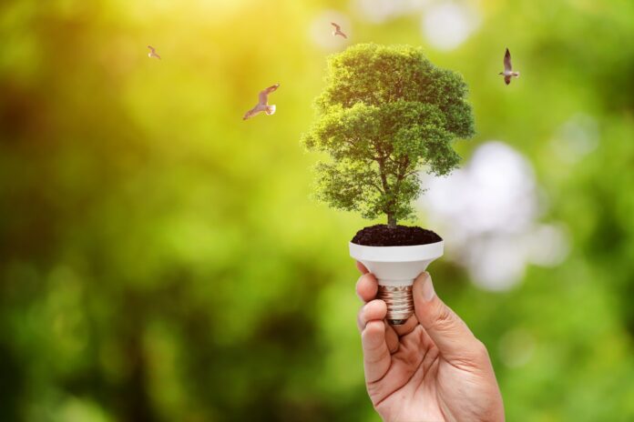 Energía Verde