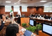 Consejo de Salubridad General aprueba cuatro nuevos Protocolos Nacionales de Atención Médica.
