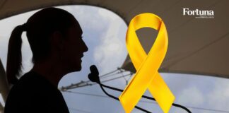 Sheinbaum anuncia fortalecimiento de línea de salud y pide apoyo familiar en prevención del suicidio