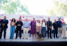 Megaclase de Inteligencia Artificial
