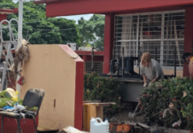 Más de 821 escuelas afectadas por lluvias en cinco estados; SEP activa plan de reparación y reposición de libros