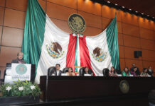 Comparecencia de la Mtra. Alicia Bárcena Ibarra, Secretaria de Medio Ambiente y Recursos Naturales