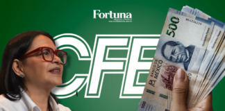 CFE reporta ingresos por 524 mil mdp y rompe récord de utilidad neta en 2025