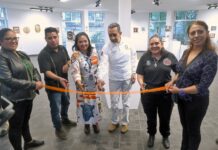Exposición gratuita del IMSS en CDMX