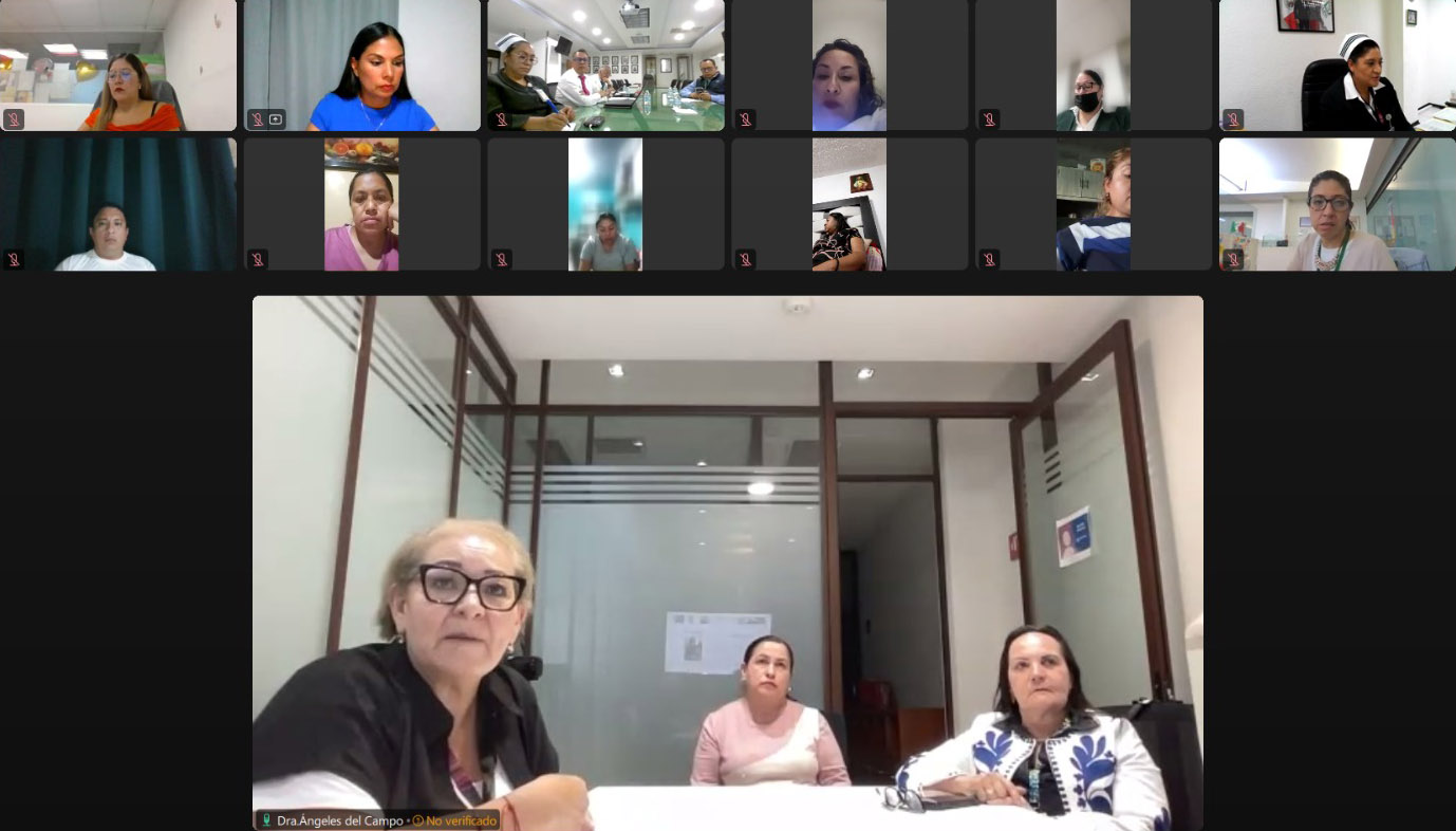 sesión 178 del grupo de trabajo entre autoridades del IMSS y madres y padres de menores con cáncer.