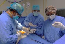 IMSS conmemora 62 años del primer trasplante renal en México con logro histórico: 4 mil 399 procedimientos realizados