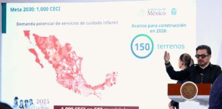 director general del Instituto Mexicano del Seguro Social (IMSS), Zoé Robledo