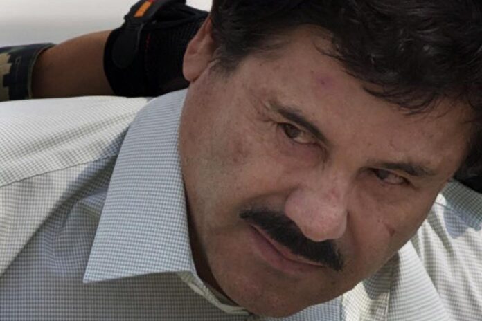 Imagen de WhatsApp 2025-10-14 a las 06.35.40_5c1fb041 Chapo Guzmán