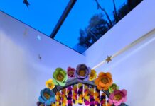 Celebran 10 años con ofrenda de Día de Muertos y confirma crecimiento sostenido en funeraria para mascotas Ofrenda Día de Muertos para mascotas