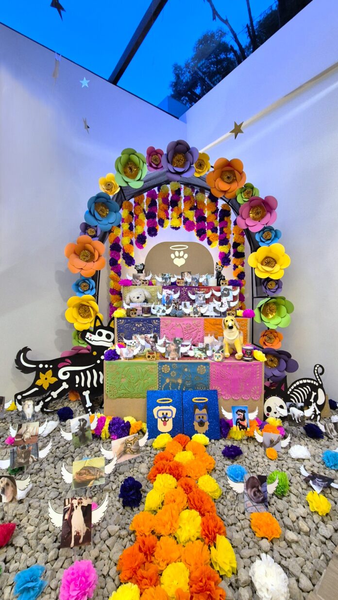 Pets-in-the-Sky-20251022-ofrenda-Dia-de-Muertos Ofrenda Día de Muertos para mascotas