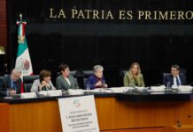 Comparece ante comisión del Senado la secretaria de Medio Ambiente y Recursos Naturales
