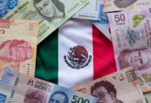 INEGI) publicó los datos preliminares del sector público en 2024, que muestran cuánto produjo, cuánto gastó
