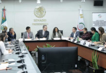 Senado aprueba foros sectoriales del T-MEC para fortalecer la postura de México rumbo a la revisión Reunión de las comisiones unidas de Economía y de Seguimiento a la Implementación y Revisión del T-MEC