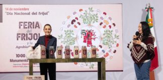 Frijol mexicano: el gobierno impulsa producción, salud y distribución nacional a precio justo