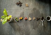 Diputados aprueban con cambios la Ley de Desarrollo Sustentable de la Cafeticultura; minuta se devuelve al Senado Cámara de Diputados aprobó, con cambios, dictamen a minuta que expide la Ley de Desarrollo Sustentable de la Cafeticultura