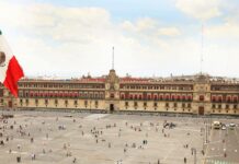 La Evaluación de la Gestión Gubernamental 2024 identificó como principales áreas de oportunidad en las instituciones de la Administración Pública Federal (APF) la necesidad de fortalecer la planeación y el seguimiento de los programas derivados del Plan Nacional de Desarrollo, mejorar el cumplimiento integral de la política anticorrupción, así como homogeneizar el logro de metas de desempeño entre dependencias.