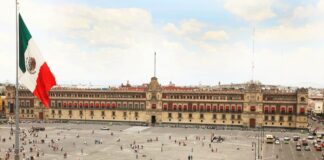 La Evaluación de la Gestión Gubernamental 2024 identificó como principales áreas de oportunidad en las instituciones de la Administración Pública Federal (APF) la necesidad de fortalecer la planeación y el seguimiento de los programas derivados del Plan Nacional de Desarrollo, mejorar el cumplimiento integral de la política anticorrupción, así como homogeneizar el logro de metas de desempeño entre dependencias.