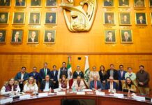 Comité de Trato Digno de Nivel Central