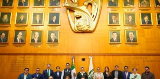 Comité de Trato Digno de Nivel Central