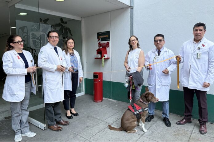 IMSS-20251218-CLINICA-PERROS-DE-ASISTENCIA UMF No. 26 “Condesa”
