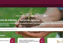 Ventanilla Agraria se moderniza: ya ofrece servicios digitales a nivel nacional Ventanilla Agraria se moderniza: ya ofrece servicios digitales a nivel nacional