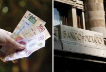 Con voto dividido, Banxico recorta tasa de interés 25 pb a 7.0% Banxico