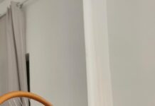 Presentan modelo de franquicia wellness premium