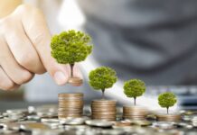 Banca de desarrollo reporta colocación por un billón de pesos y utilidades por 47.1 mil millones al 3T2025