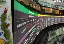 Emisoras simplificadas: entre la regulación diferenciada y el impulso al financiamiento productivo Emisoras simplificadas: entre la regulación diferenciada y el impulso al financiamiento productivo