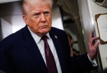 Groenlandia no quiere saber nada con Trump: “Elegimos a Dinamarca…”