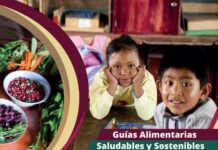 México impulsa nuevas Guías Alimentarias Saludables y Sostenibles 2025?2030 Guías Alimentarias Saludables y Sostenibles 2025?2030