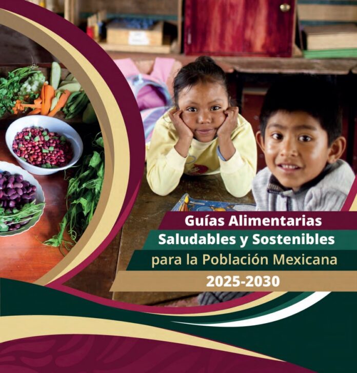 Guías Alimentarias Saludables y Sostenibles 2025?2030