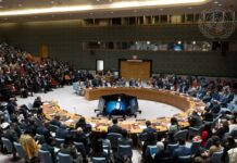 Consejo de Seguridad