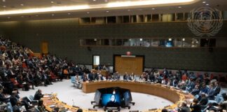 Consejo de Seguridad