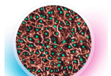 UNAM desarrollo primer “hígado en chip” en Latinoamérica, coloca a México en la investigación de frontera en organ-on-a-chip organ-on-a-chip