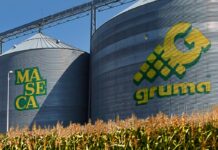 Concluye pesquisa de mercado investigado a favor de Gruma Gruma